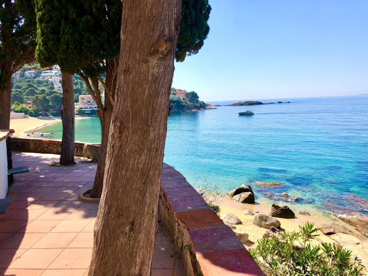 Magnifique En Front De Mer, Caneylles Apartment